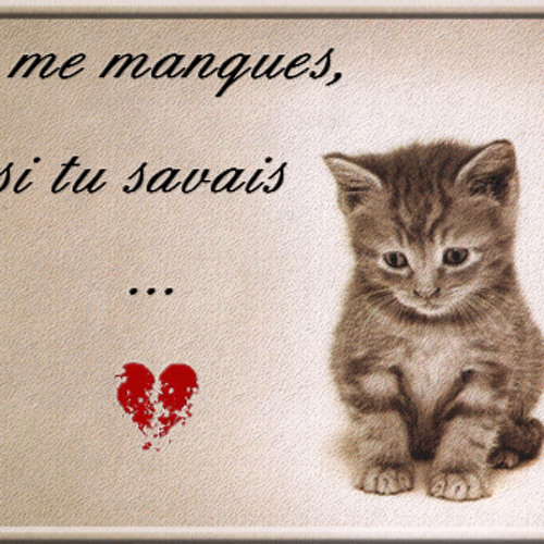 I tu. Tu me manques картинки. Tu un chat. Tu me completas картинка. Tu me sympathises.