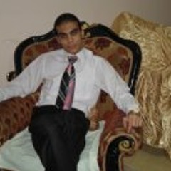 Mahmoud Tark Zaghlool
