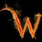Waxx224