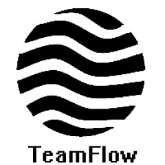 Team Flow Music