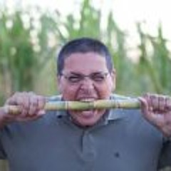 Gamal Diab