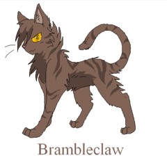 Brambleclaw48