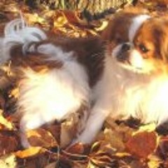 Sherry Betz
