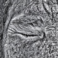 Nightriser Productions