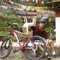 Tshering Namgay 2
