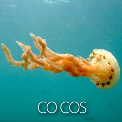 Co Cos