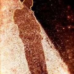 Stuart Vincent Havlicak