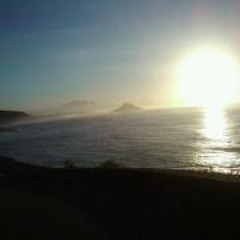 Rafael Cury Abranches