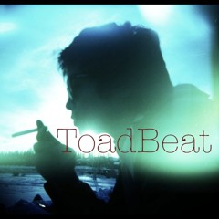 Toadbeat