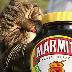 Seductive Marmite