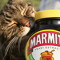 Seductive Marmite