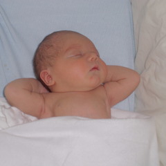 Mikey Lloyd