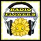 radio flower's podcasts