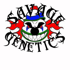 Savage Genetics - Silent Hill Remix(Free 100 DLs)