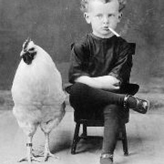 Scharlottenchoff Geier