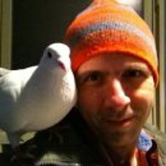 Robert Grillo Radio Interviews