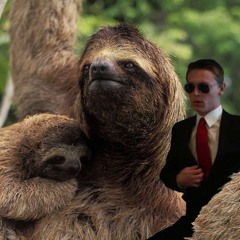 millergavin