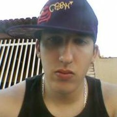 Luiz Gustavo Pocceschi