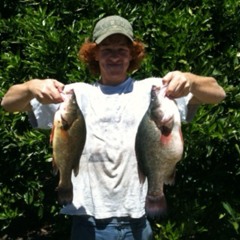 spinking#56