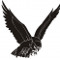 Steven Grech 1