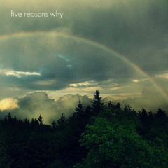 Five Reasons Why