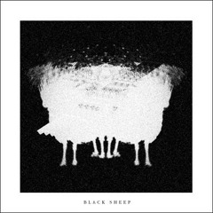 Black Sheep Set/live