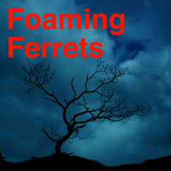 FoamingFerrets