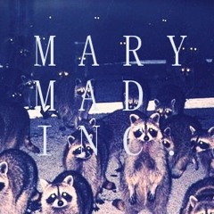 Mary Mad Inc.