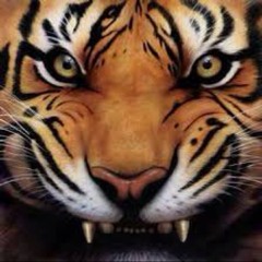 Music tiger
