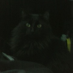 lilmisspriss