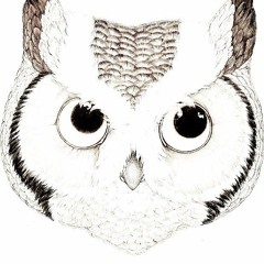 DjMinerva