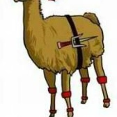 Andrew Llama