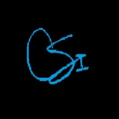 C SI