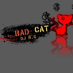 Bad Cat (Dj RG)