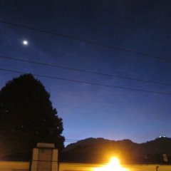 alejandroperezecheverry