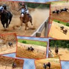 Carreras A Caballo JC
