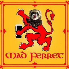 The Mad Ferret Band