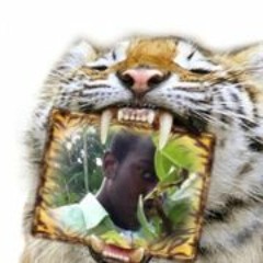 Rozsa RealEstate Bowen