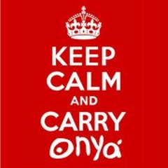 Onya Bags Reusablebottle