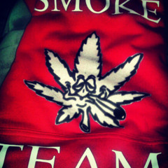 Savon TeamBulls Johnson