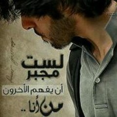 Ahmed Shosha 5