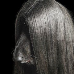 Clare Elizabeth Curran