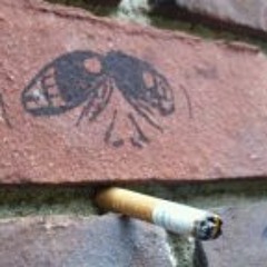 Supreme-Overlord Mike