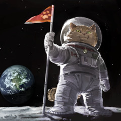Catstranaut1