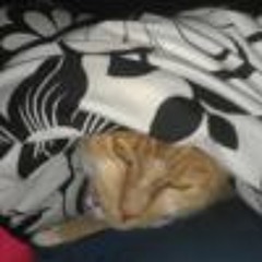 Kerri-Anne Duyvestyn