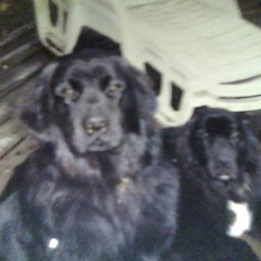 Matt North - Baby Girl Vs Wile Out