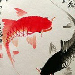 Daniele Arculeo Aka-Ninja