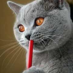 소심한 오빠들-01-여자친구가 생겼으면 좋겠다 (Feat. 쇼코)