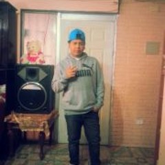 Sebastian Verdejo Peña