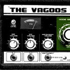The Vagoos